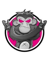 Pink Monkey Games